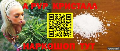 стаф Рыбинск