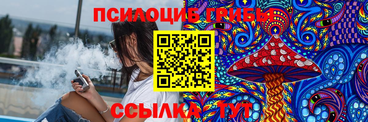 Галлюциногенные грибы Psilocybine cubensis  Вход с VPN  Псилоцибиновые грибы Psilocybe  Реж 