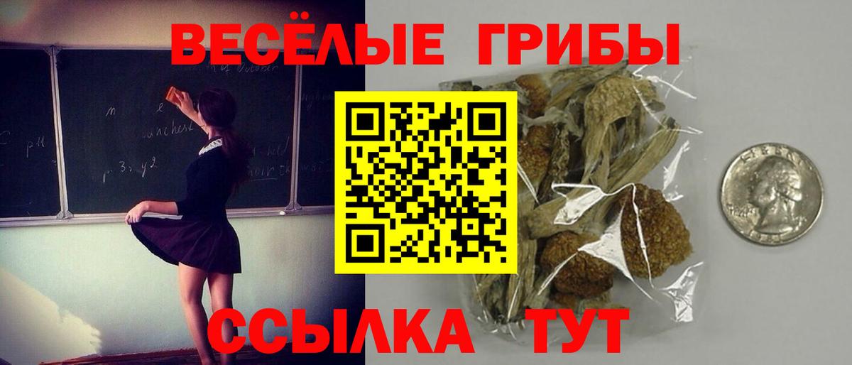 Псилоцибиновые грибы Magic Shrooms Реж